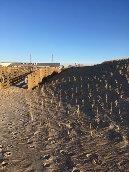 Ramp Boardwalk Hatteras